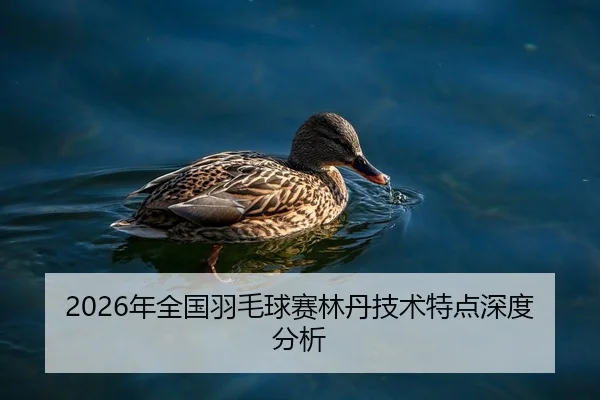 2026年全国羽毛球赛林丹技术特点深度分析
