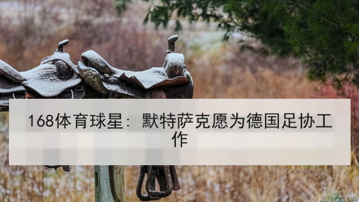 168体育球星: 默特萨克愿为德国足协工作 168体育球星: 默特萨克愿为德国足协工作