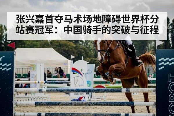 horse jumping arena